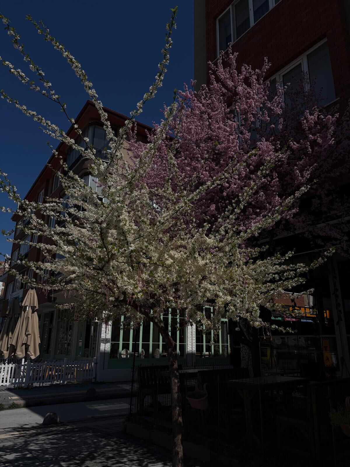 7867A3D1 75F0 4C00 8964 6137Bb153724