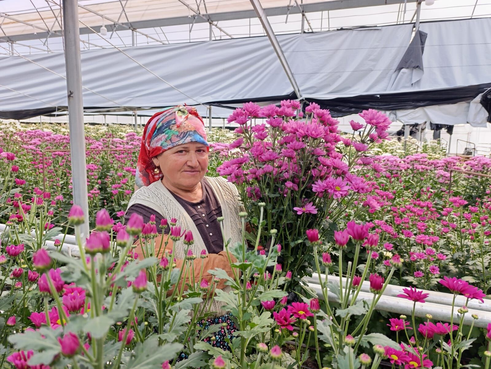 8Acbd929 5D5B 4742 Aa73 4343Dcf2814C