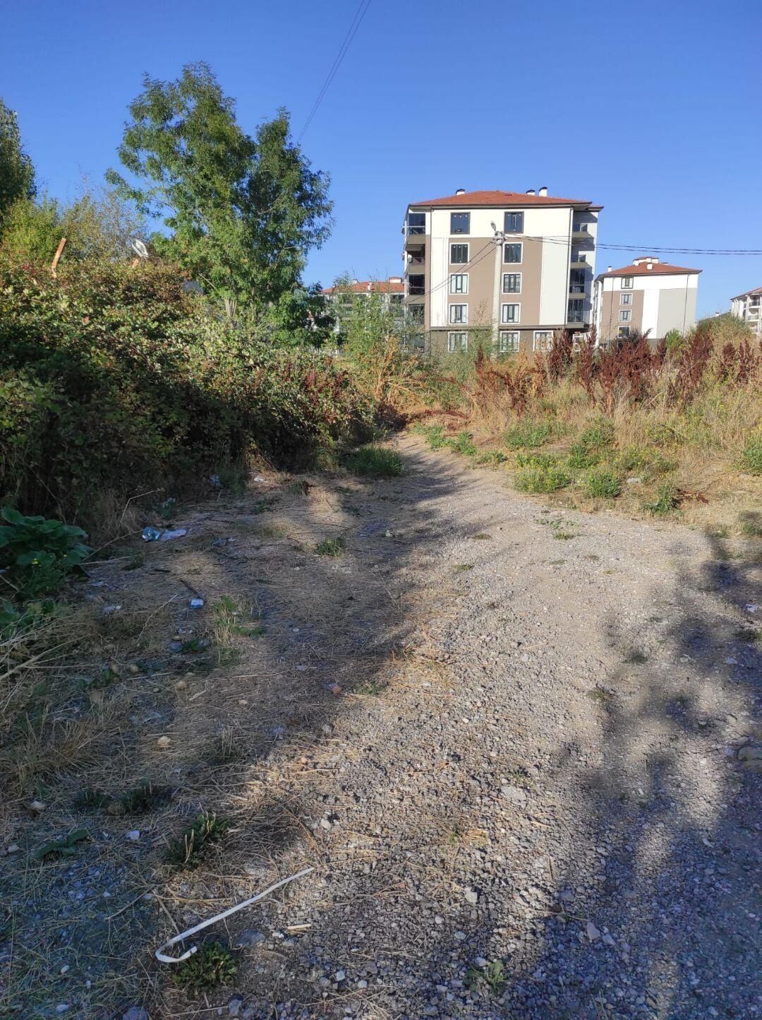 923D4B06 92C1 414E 9F6F 717Bd58B7A98