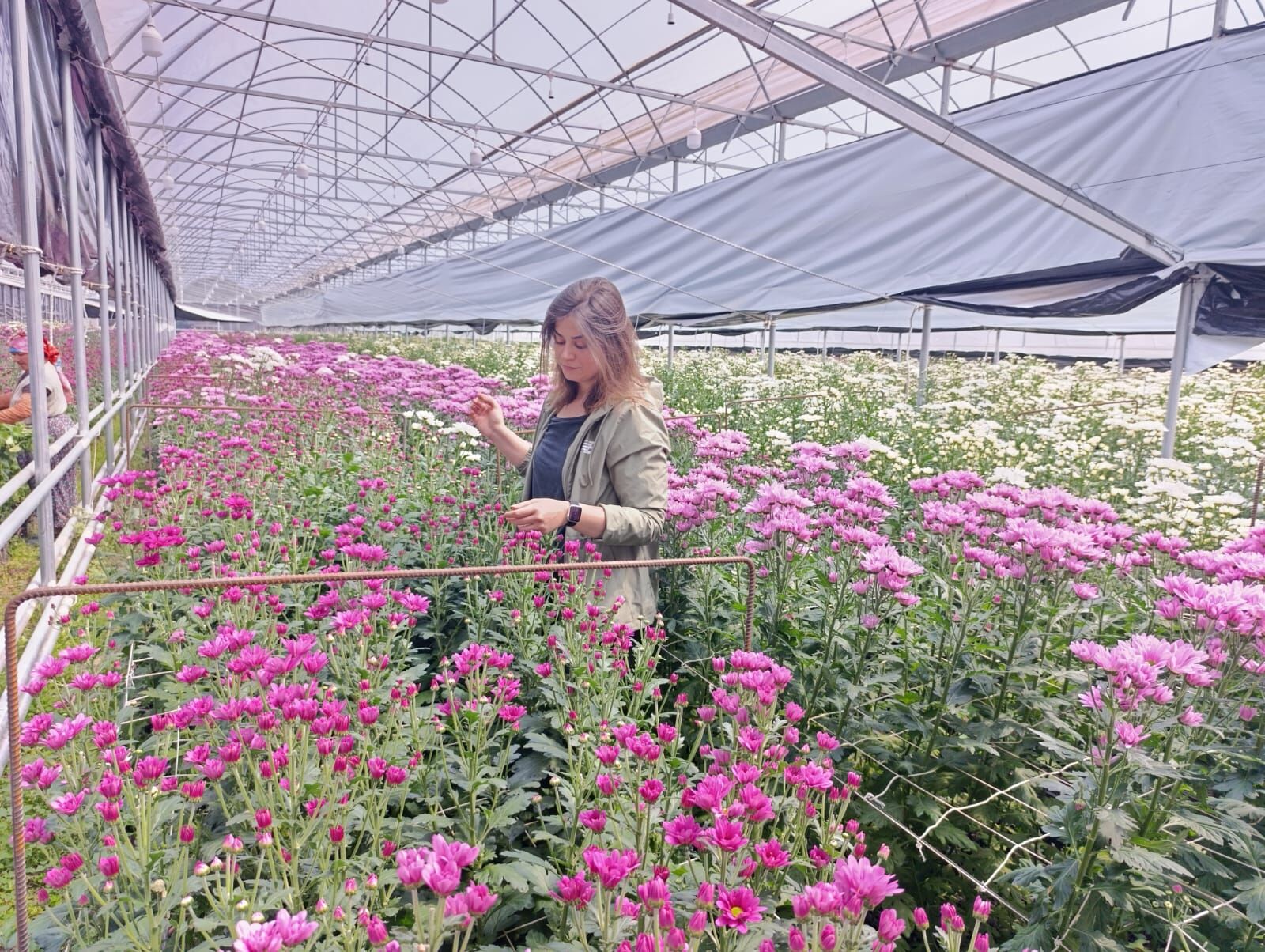 9Fb32961 323F 4D1B 934A C4A7F683Faec