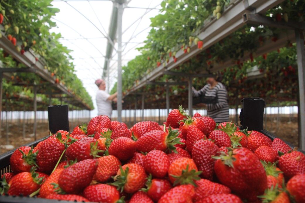 Aw190056 01 1714037277