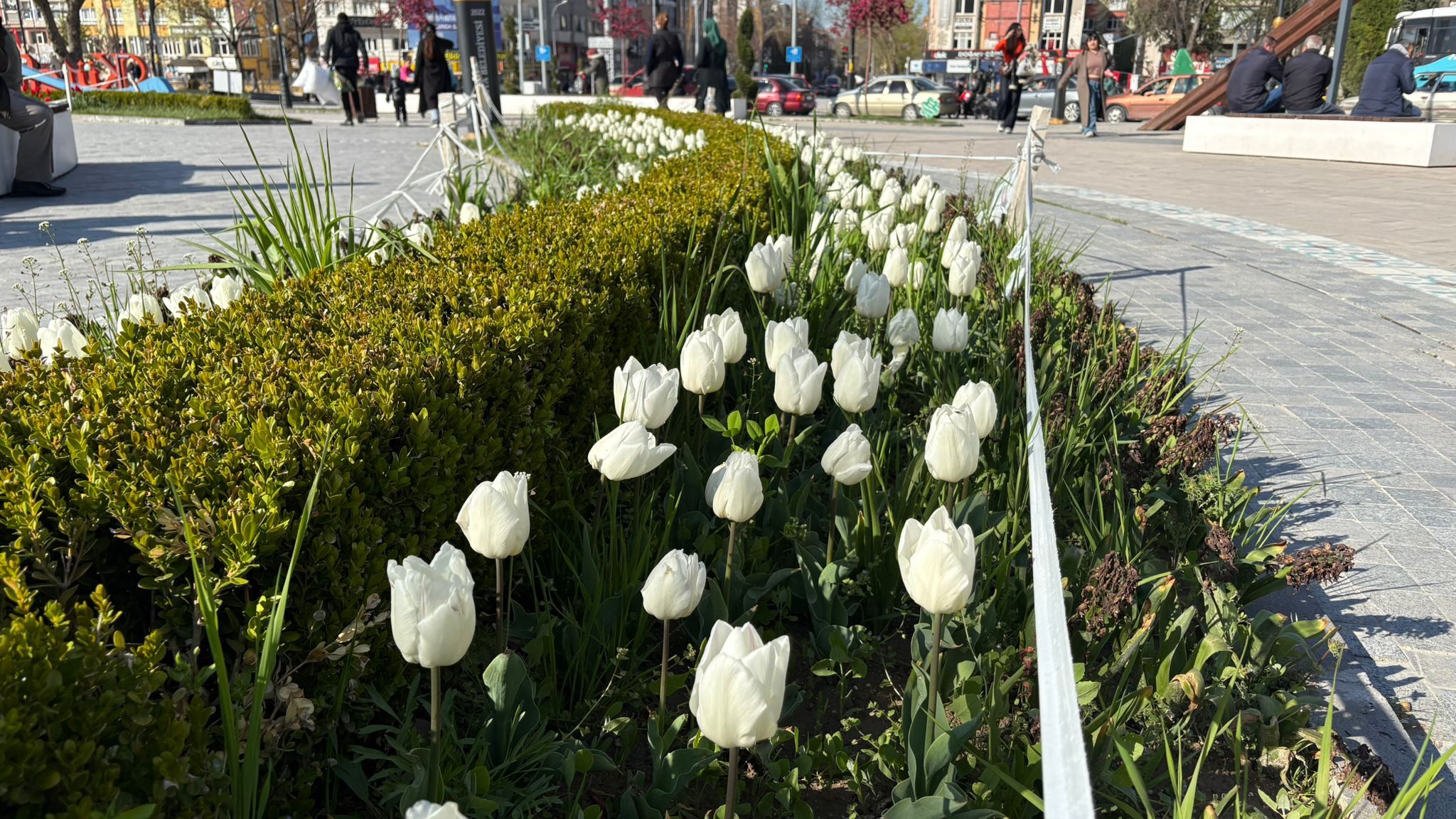 C013Efe2 A914 43Ba Bffc 78F8D8Eb6C19