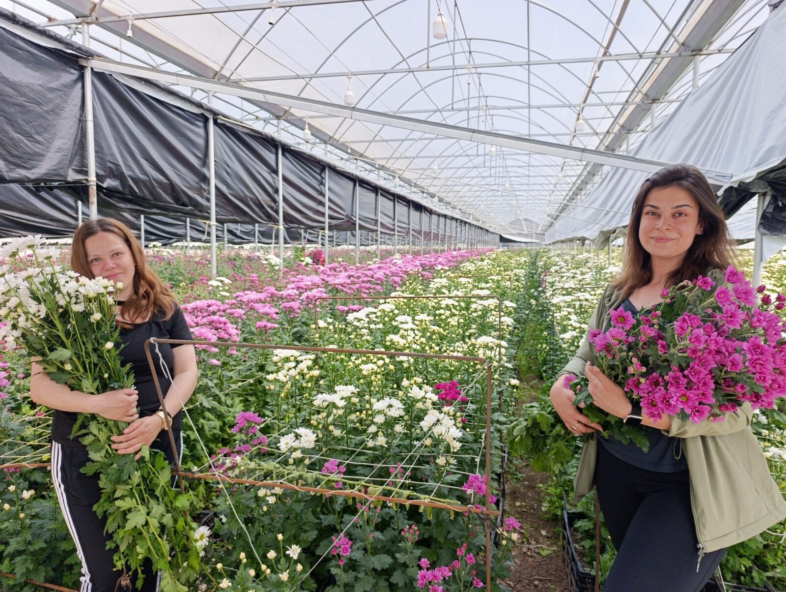 Cd14Dbd0 4Cb4 4Dad A260 4F510Bd9604A