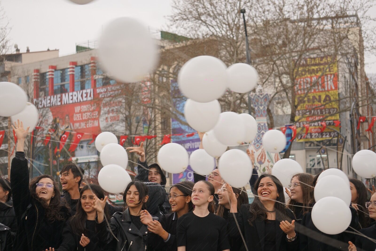 Da242C97 B0D2 46Ed Bcc1 E6677B3397D7