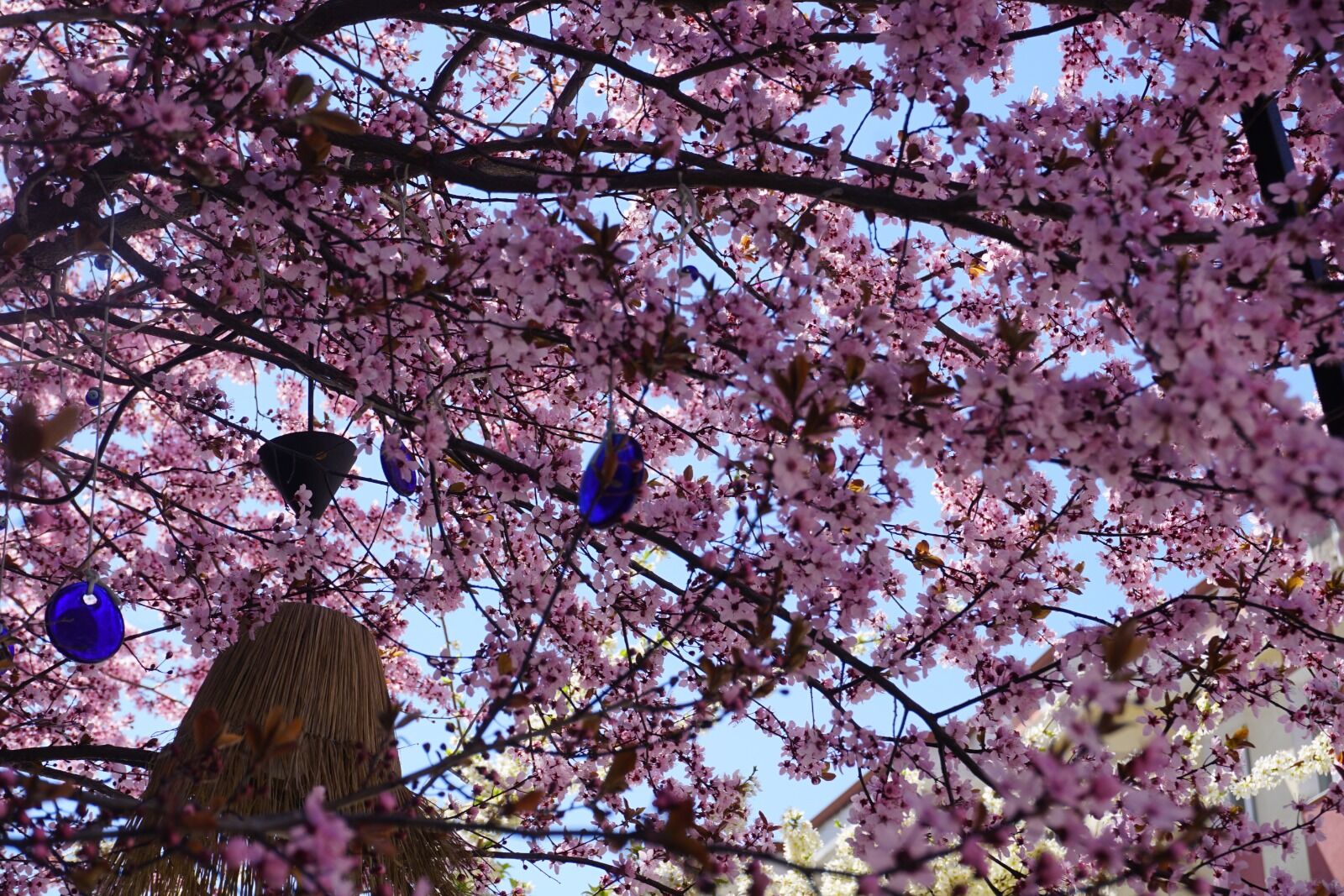 Whatsapp Image 2026 04 06 At 3.42.26 Pm (1)