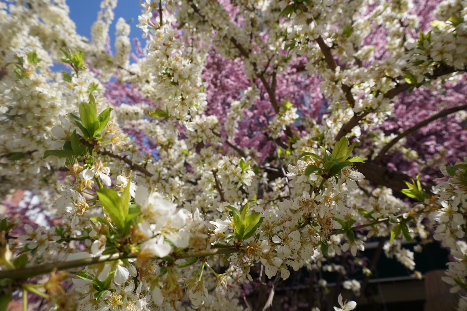 Whatsapp Image 2026 04 06 At 3.42.26 Pm