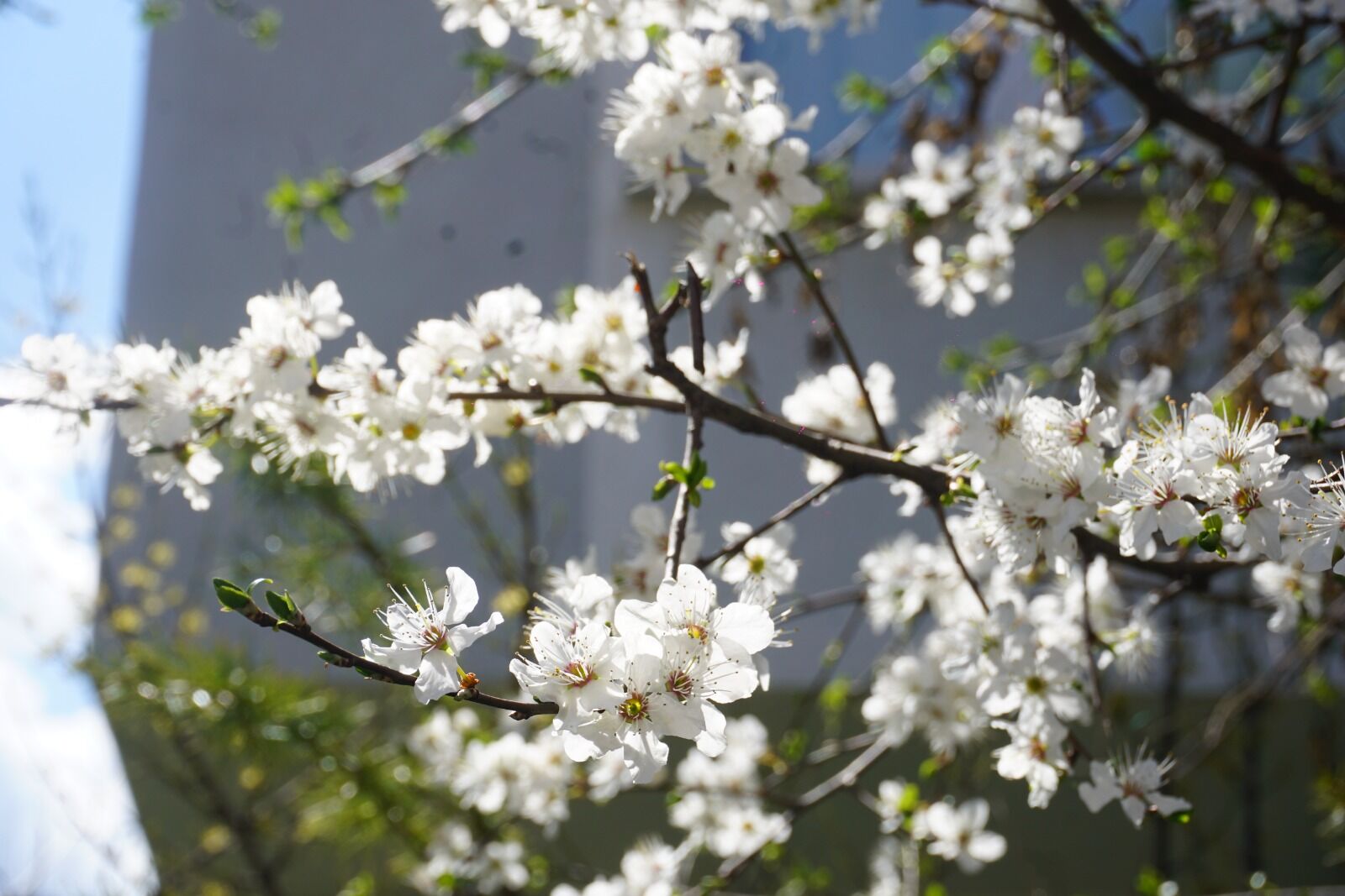 Whatsapp Image 2026 04 06 At 3.42.27 Pm (2)