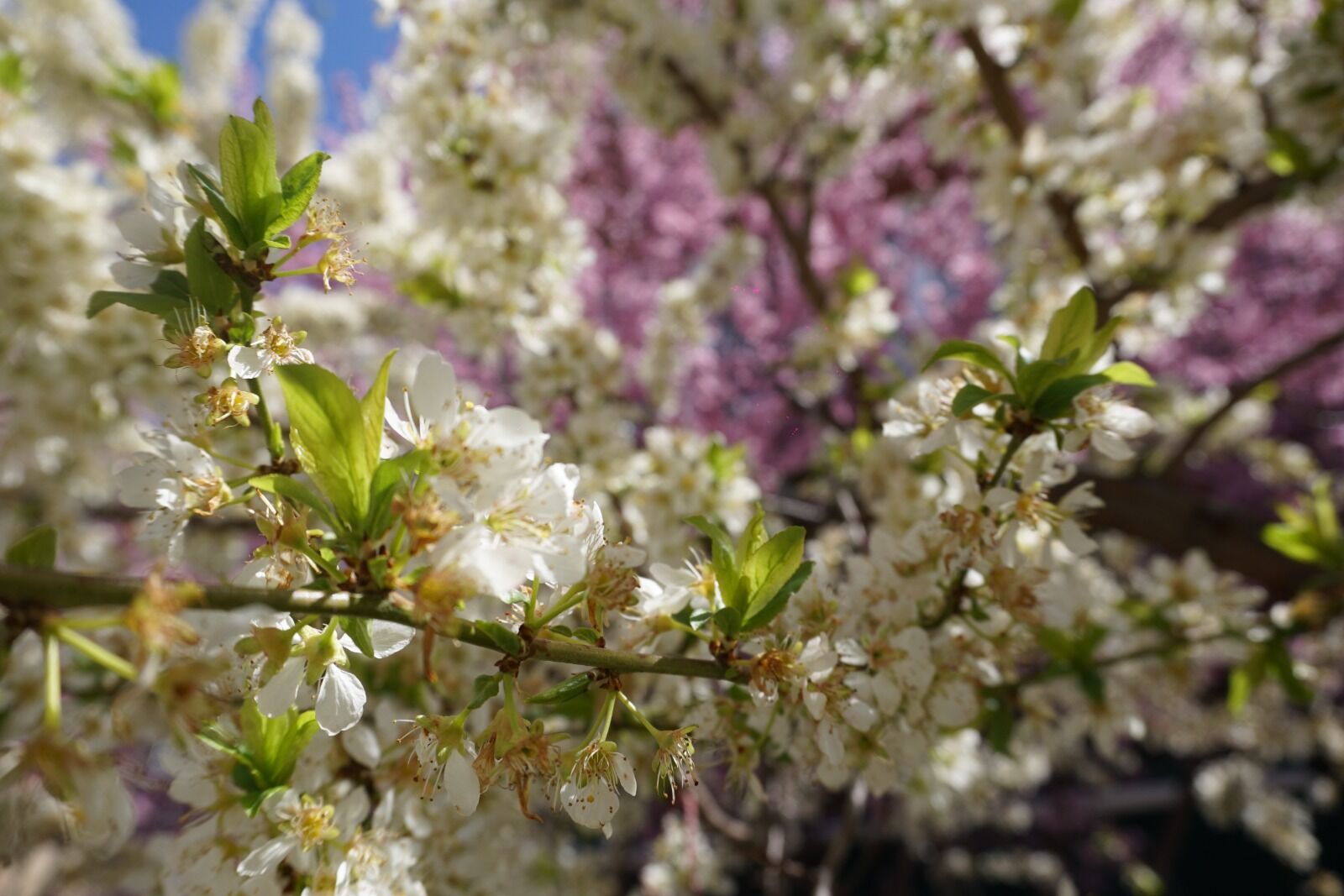 Whatsapp Image 2026 04 06 At 3.42.27 Pm