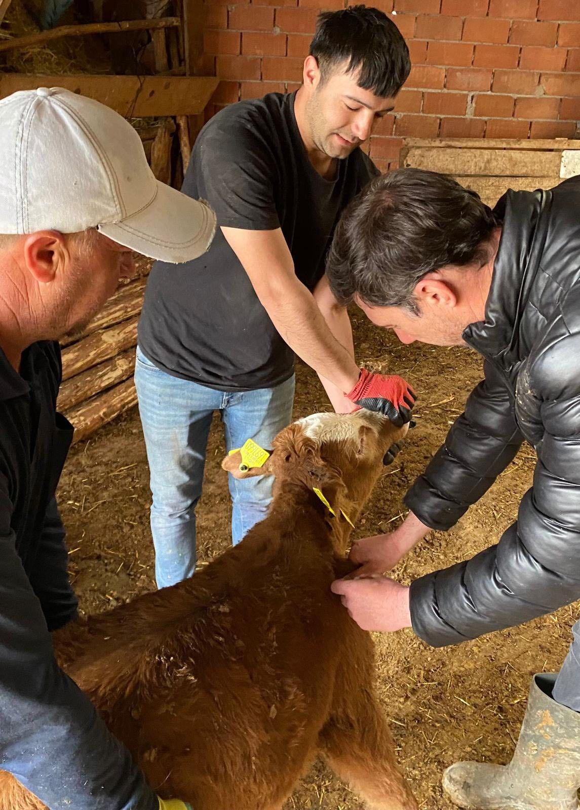 Whatsapp Image 2026 04 20 At 10.02.55 Am