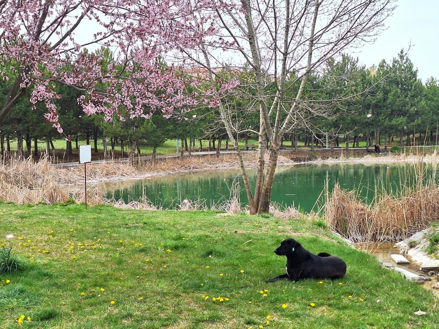 Whatsapp Image 2026 04 20 At 9.42.39 Am