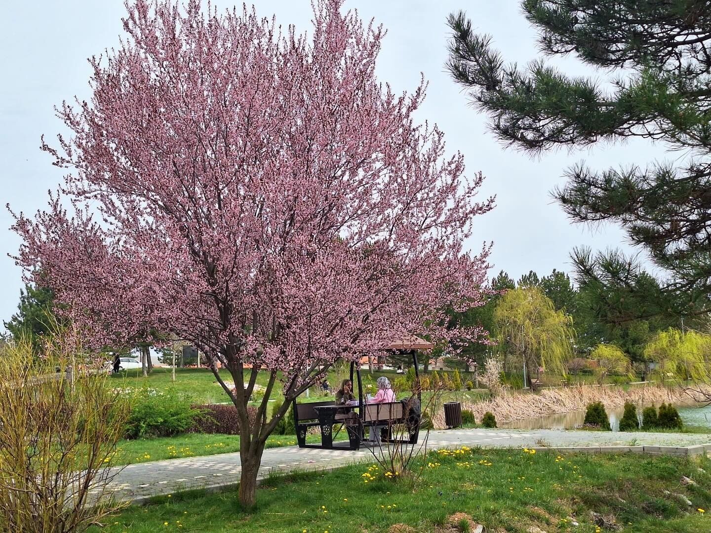 Whatsapp Image 2026 04 20 At 9.42.40 Am (1)