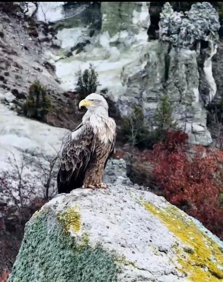 Whatsapp Image 2026 04 27 At 11.41.31