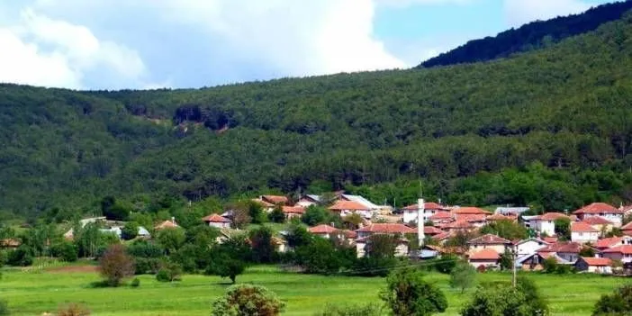 Yuyluk-1