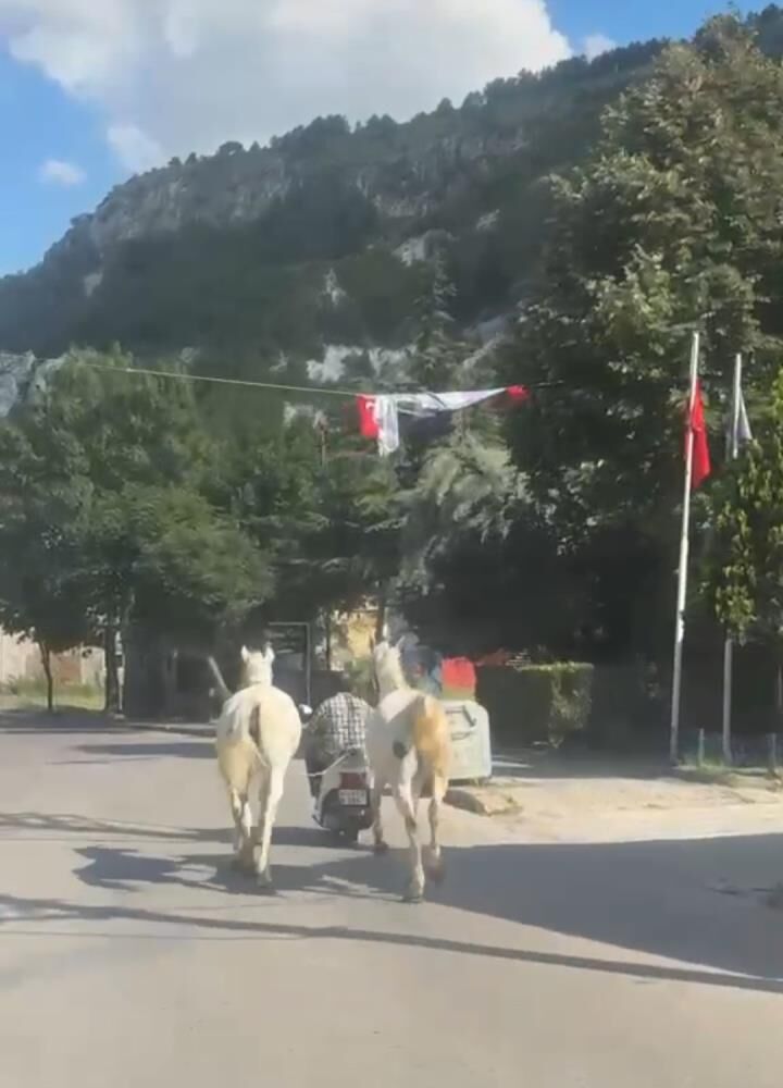 A T İ L T E M4