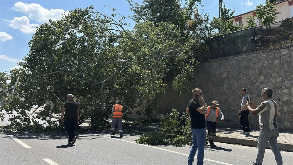 Eskişehir-Kütahya Kara Yolunda Korku Dolu Anlar