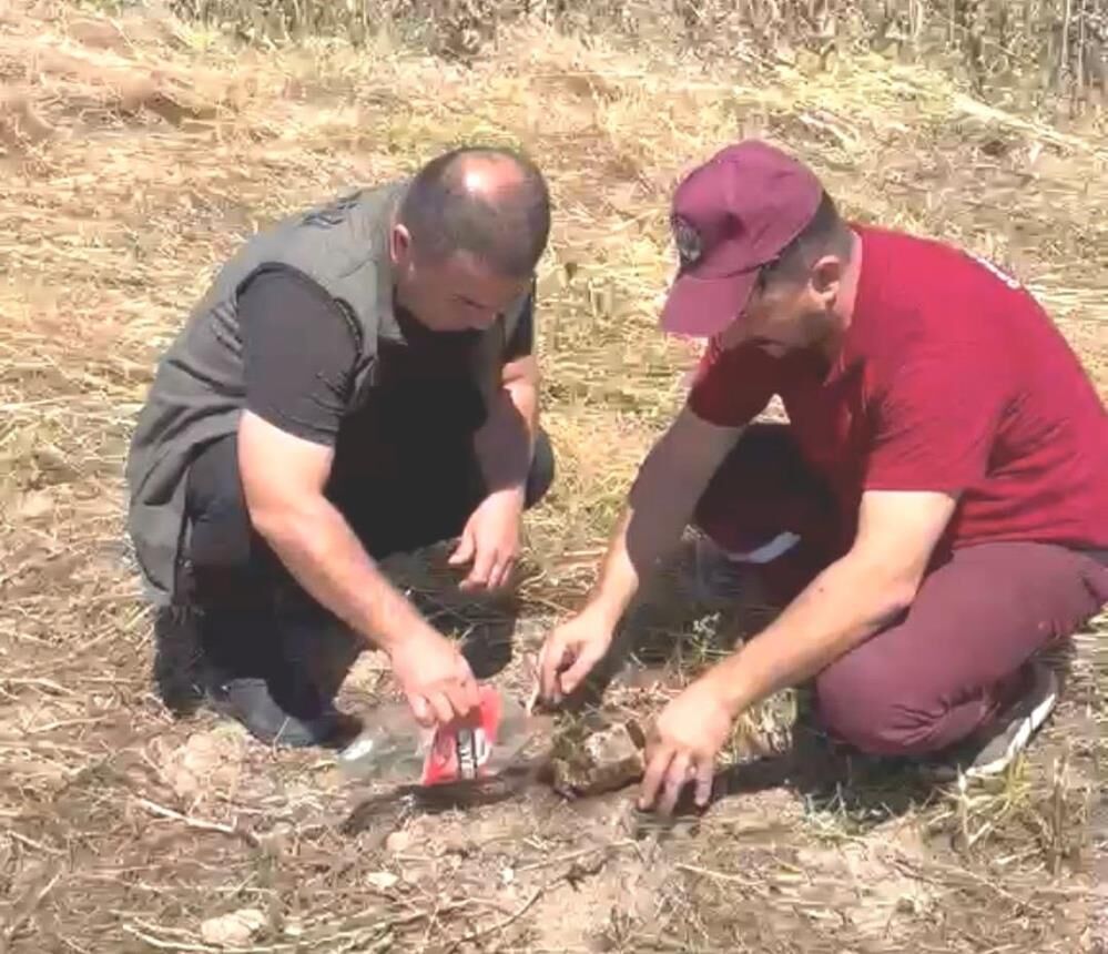 Kamlupbğa