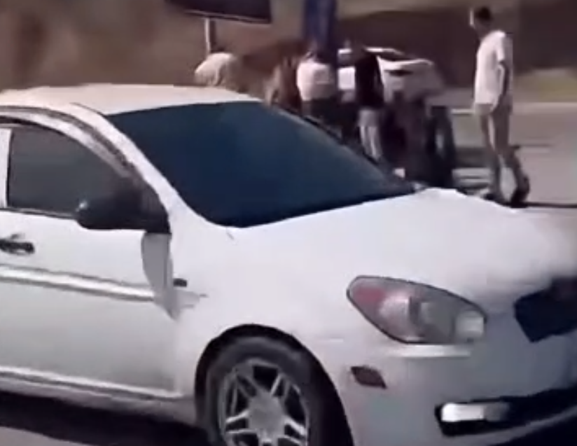 Kutafyonkz4