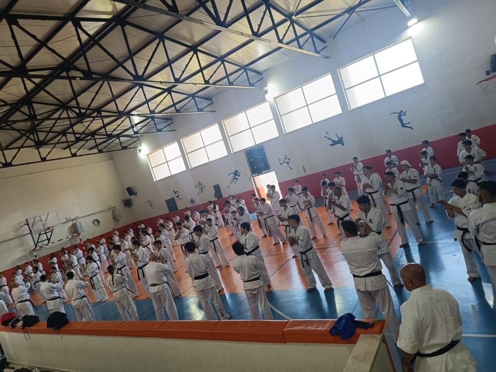 Sporpal2