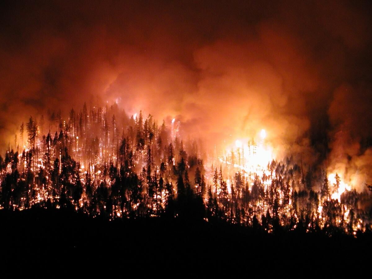 Wsa Lightning Complex Fire Ron Gregory