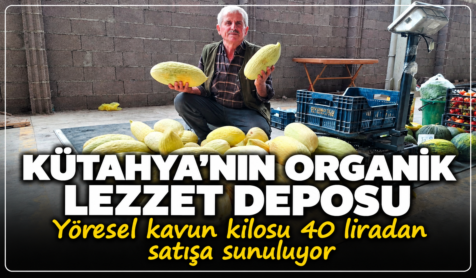 Kütahya'nın organik lezzet deposu: Yöresel kavun kilosu 40 liradan satışa sunuluyor