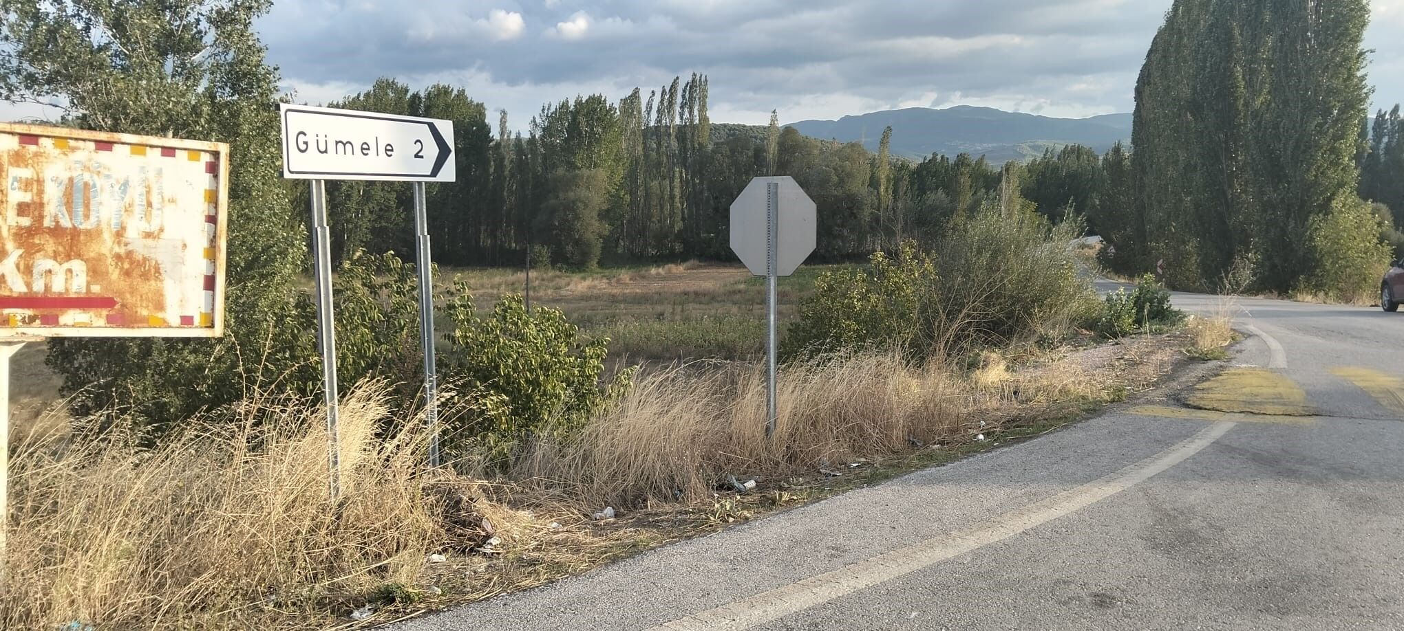 A W804585 02