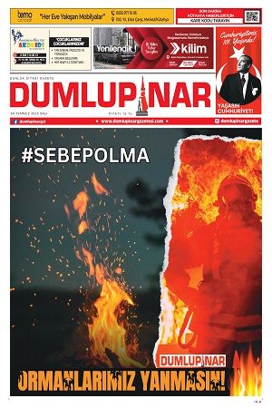29.07.2025